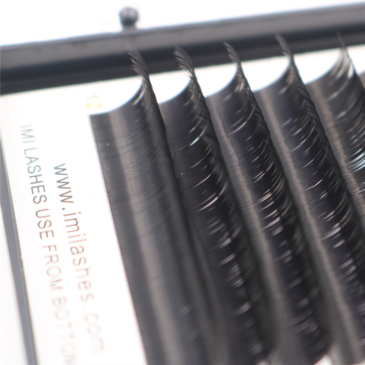 perfect silk lashes.JPG